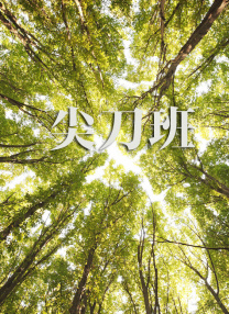 理论片我不卡在线观看
